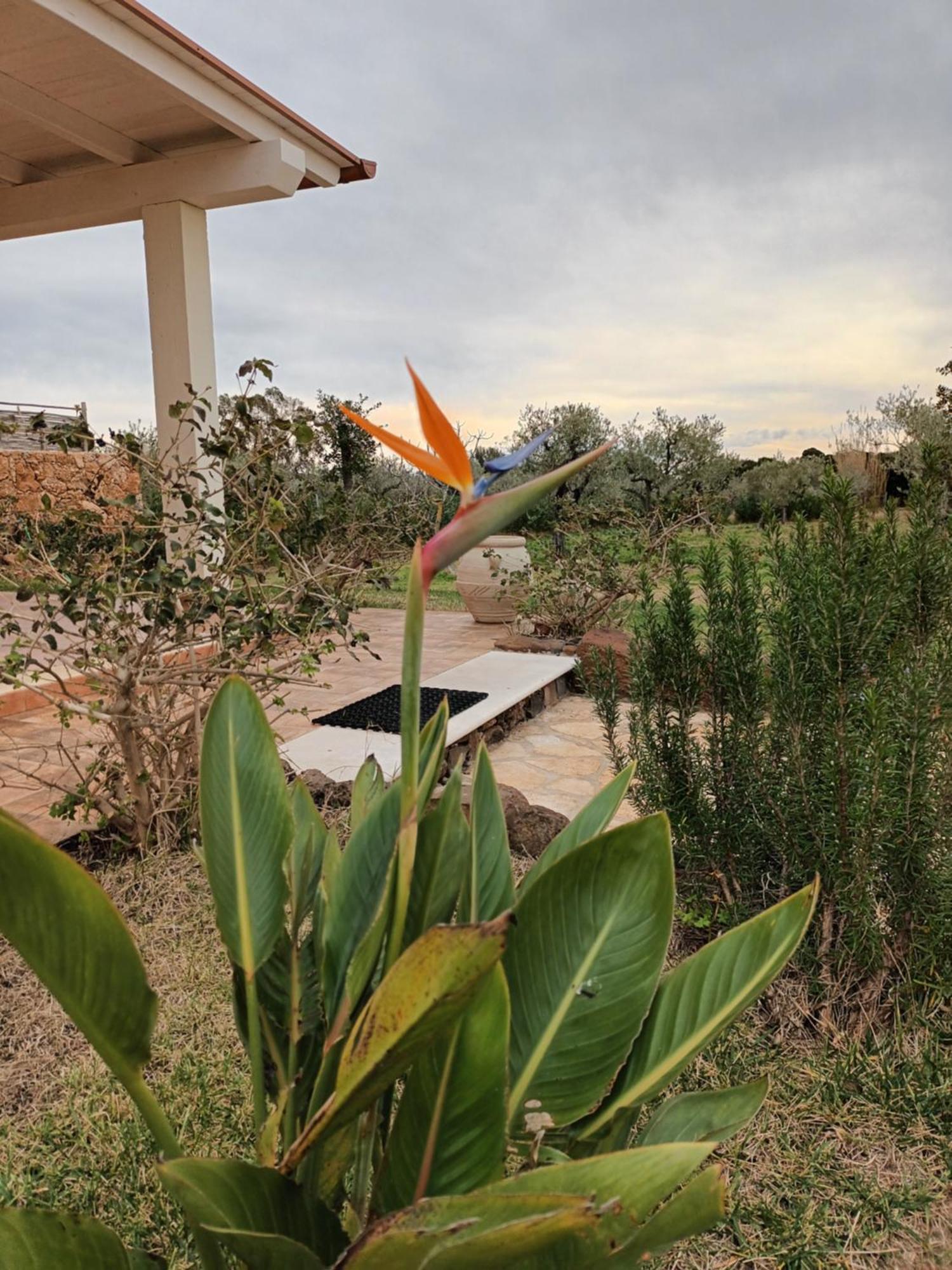 אורוסיי Villa Aratha מראה חיצוני תמונה