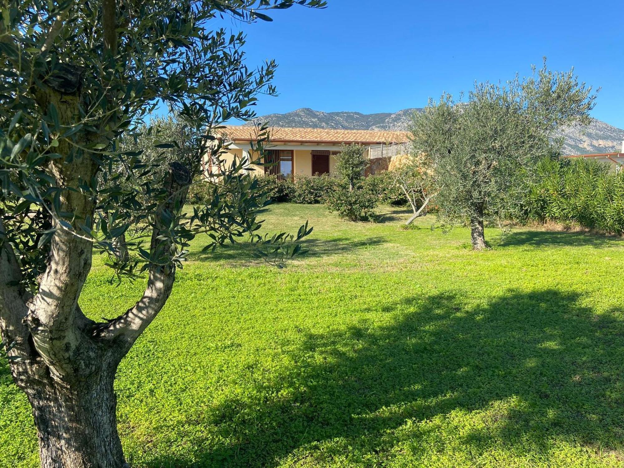 אורוסיי Villa Aratha מראה חיצוני תמונה
